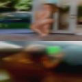 Nude girls wanting males