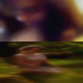 Horny lonely looking love