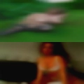 Cougars looking cock