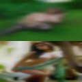 Chat with real horny girls
