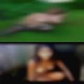 Swinger couples looking males